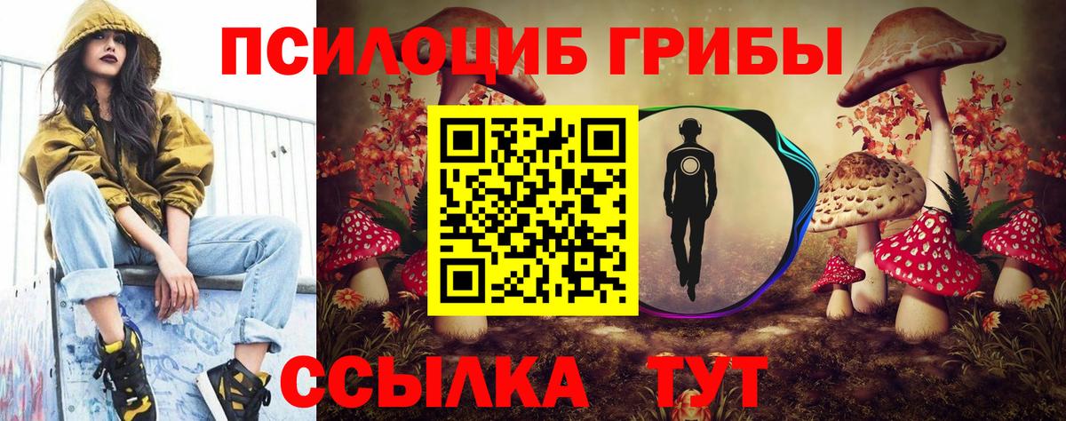 хочу   Псилоцибиновые грибы Psilocybe  Вход с VPN  Коркино 