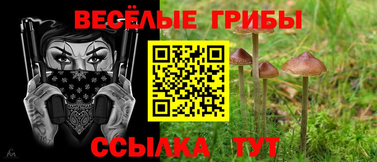 Галлюциногенные грибы прущие грибы Коркино